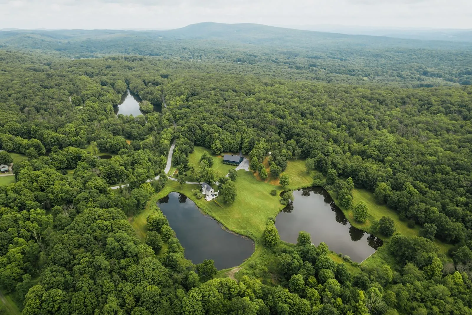 Aerial view of property and surrounding area with a forest and a large body of water Aerial view of property and surrounding area with a forest and a large body of water