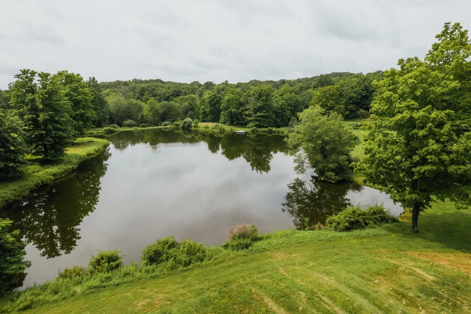 Water view with a forest Water view with a forest