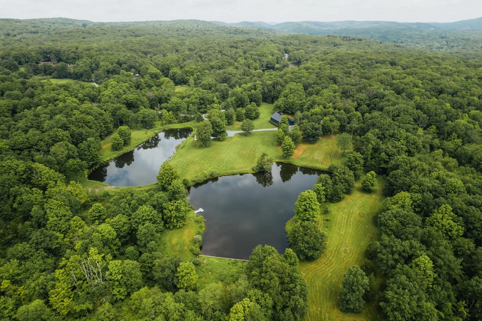 Bird\'s eye view of a nearby body of water and a forest Bird\'s eye view of a nearby body of water and a forest