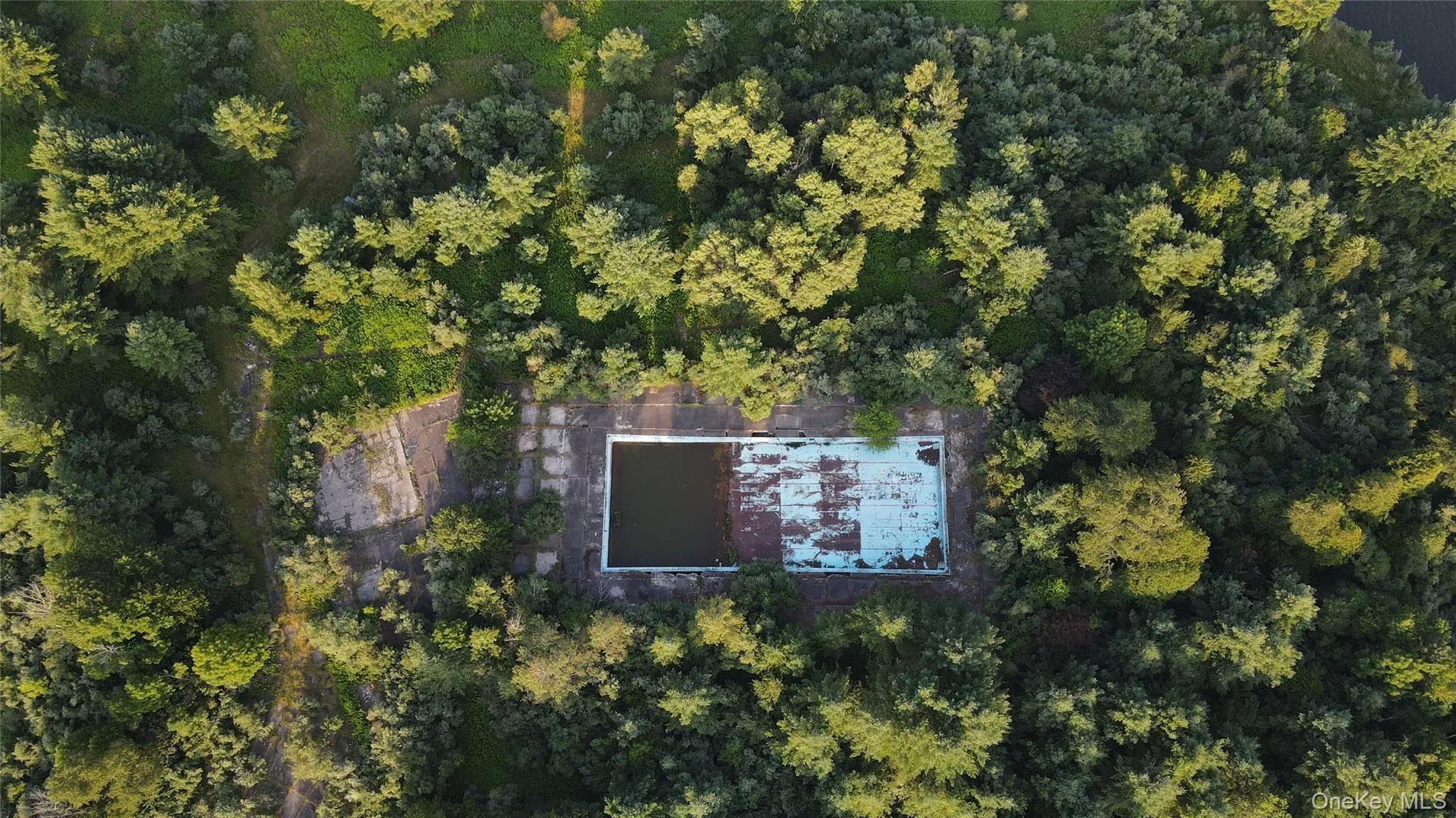 Aerial view of property's location with a forest Aerial view of property's location with a forest