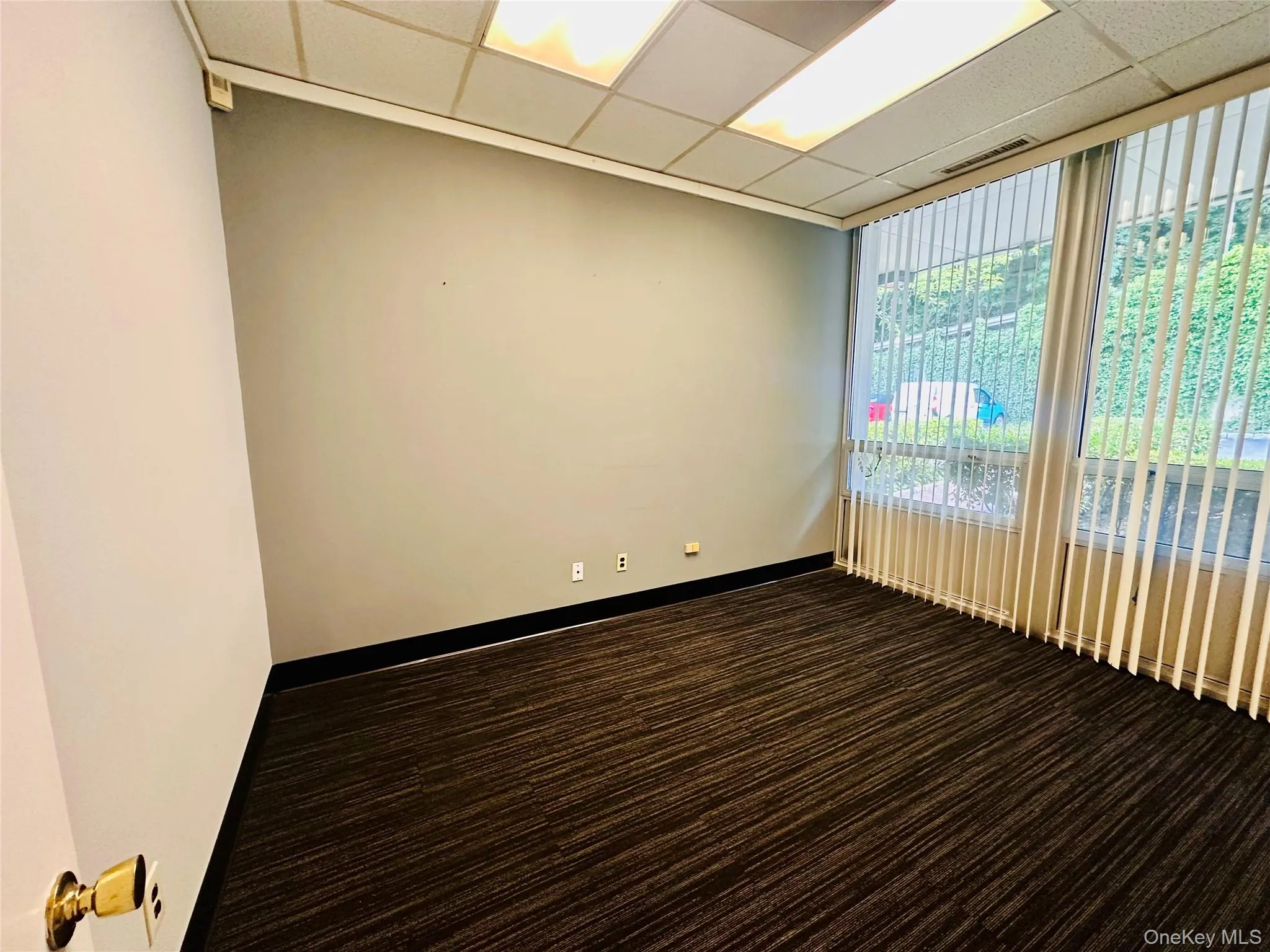 Unfurnished room with carpet flooring and a paneled ceiling Unfurnished room with carpet flooring and a paneled ceiling