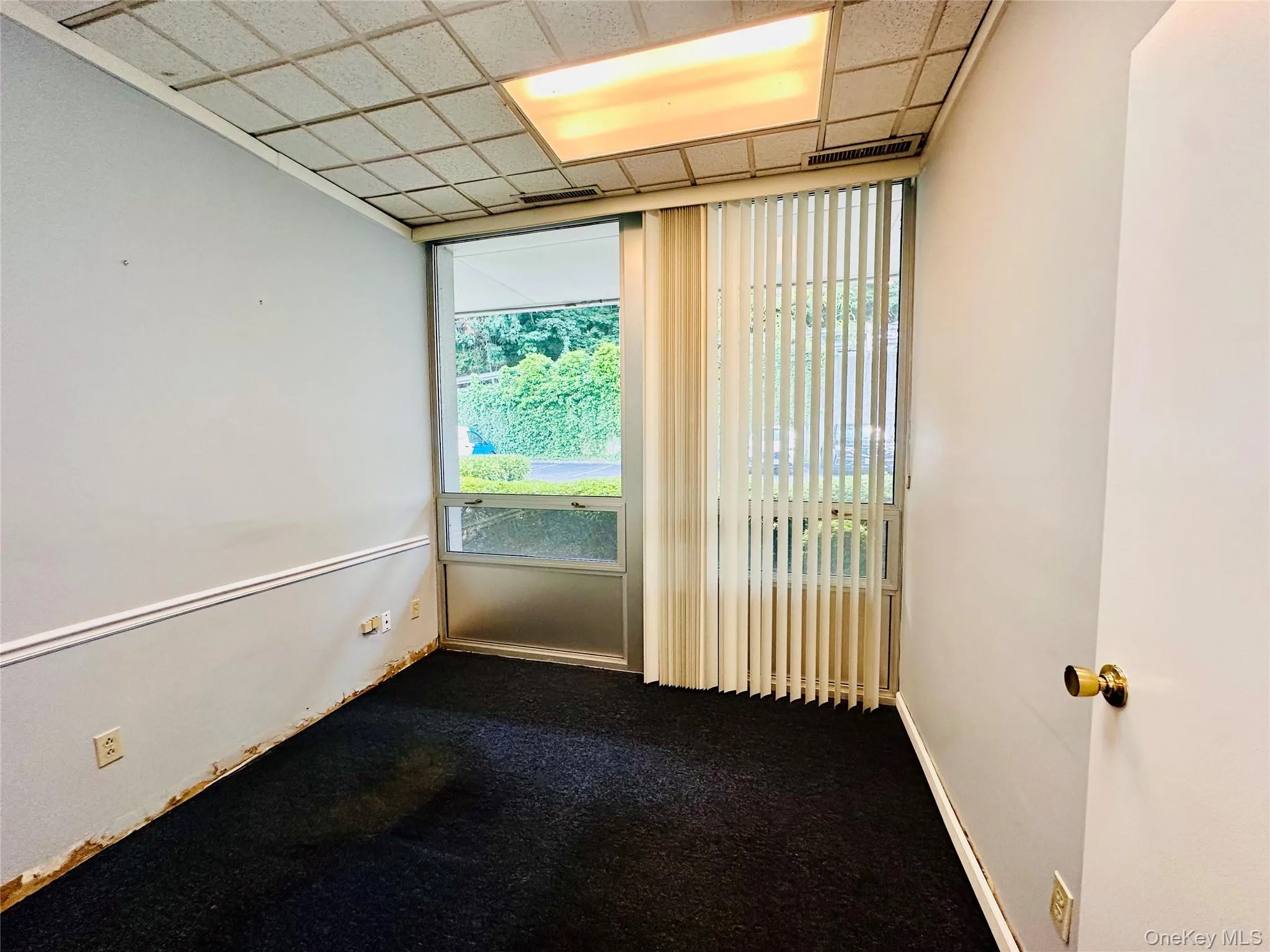 Carpeted empty room with baseboards Carpeted empty room with baseboards