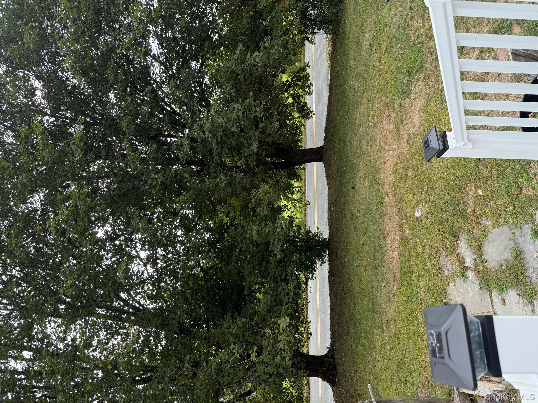 View of grassy yard View of grassy yard