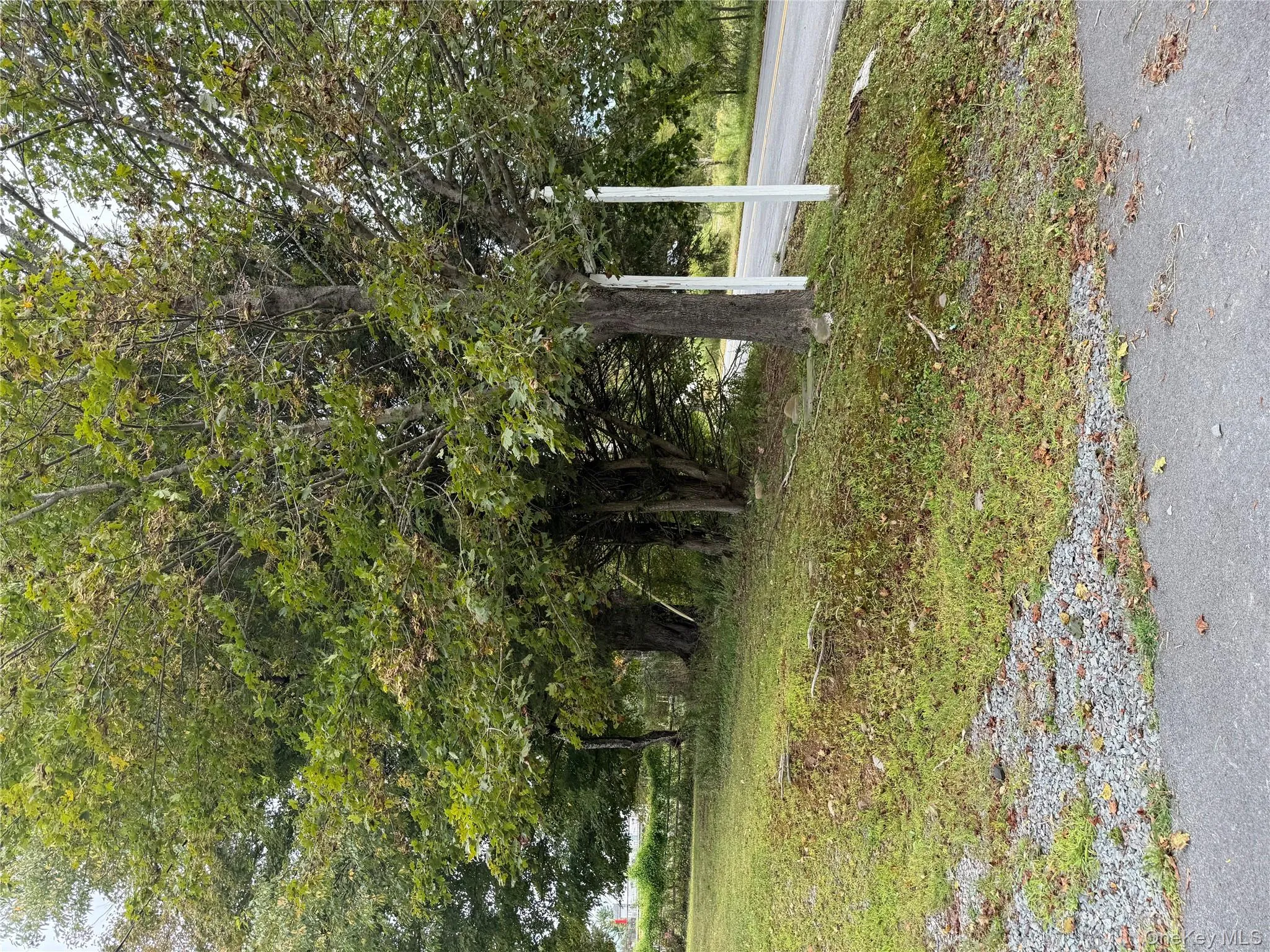 930 Lt Brender Highway, Bethel, NY, 3 Bedrooms Bedrooms, 7 Rooms Rooms,1 BathroomBathrooms,Residential Lease,For Rent,Lt Brender,0,892550 930 Lt Brender Highway, Bethel, NY, 3 Bedrooms Bedrooms, 7 Rooms Rooms,1 BathroomBathrooms,Residential Lease,For Rent,Lt Brender,0,892550