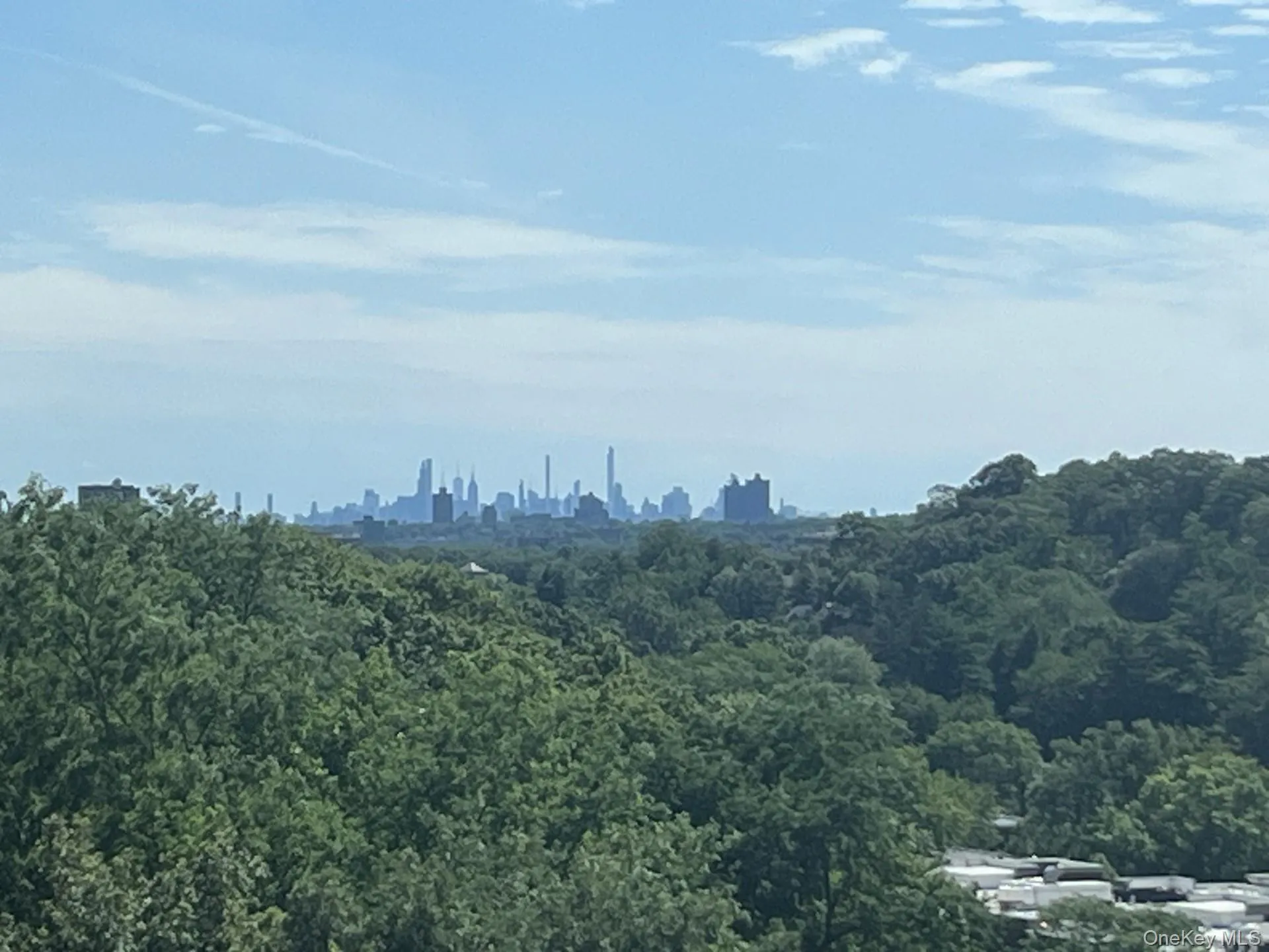 View from Studio - Manhattan Skyline view View from Studio - Manhattan Skyline view