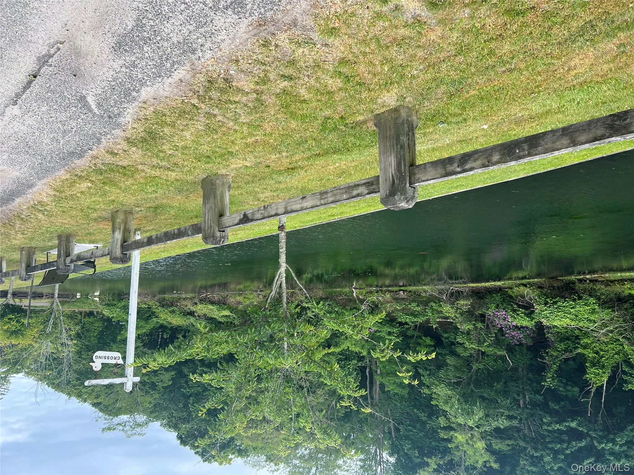 Water view with a heavily wooded area Water view with a heavily wooded area