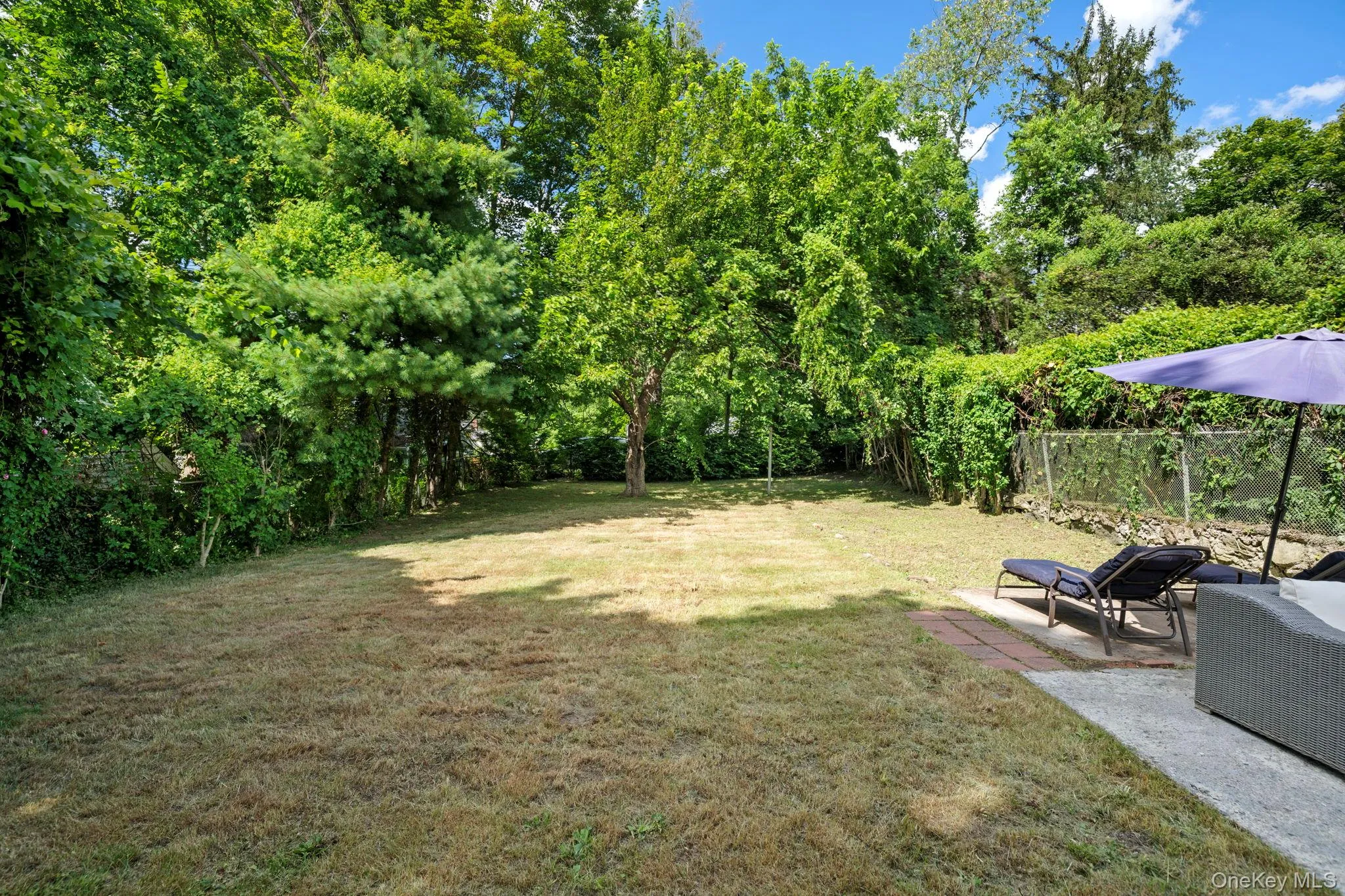 View of yard with a patio area View of yard with a patio area
