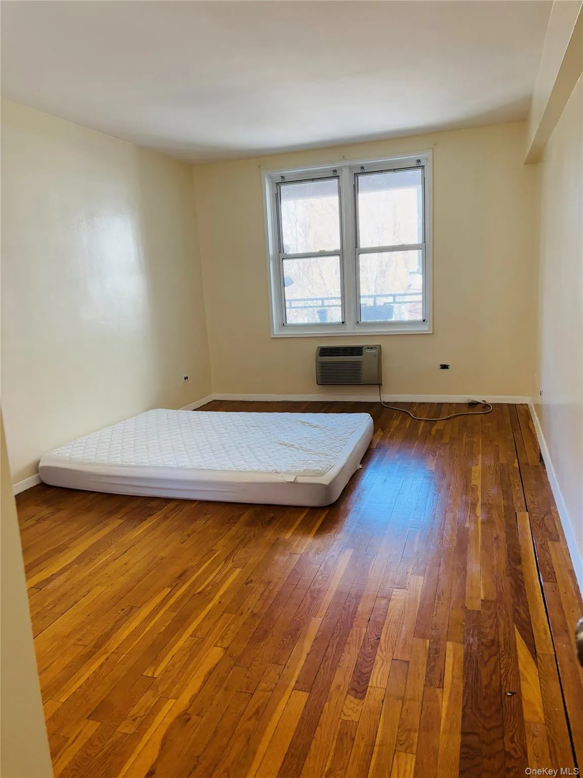 Primary bedroom featuring a large closet and hardwood floors Primary bedroom featuring a large closet and hardwood floors