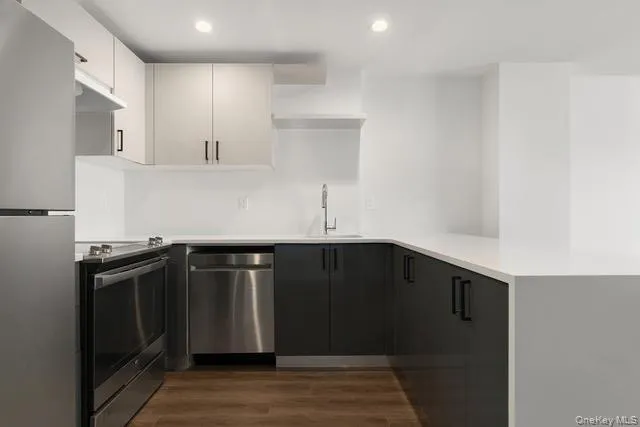 Kitchen featuring appliances with stainless steel finishes, a peninsula, dark wood-style flooring, open shelves, and recessed lighting Kitchen featuring appliances with stainless steel finishes, a peninsula, dark wood-style flooring, open shelves, and recessed lighting