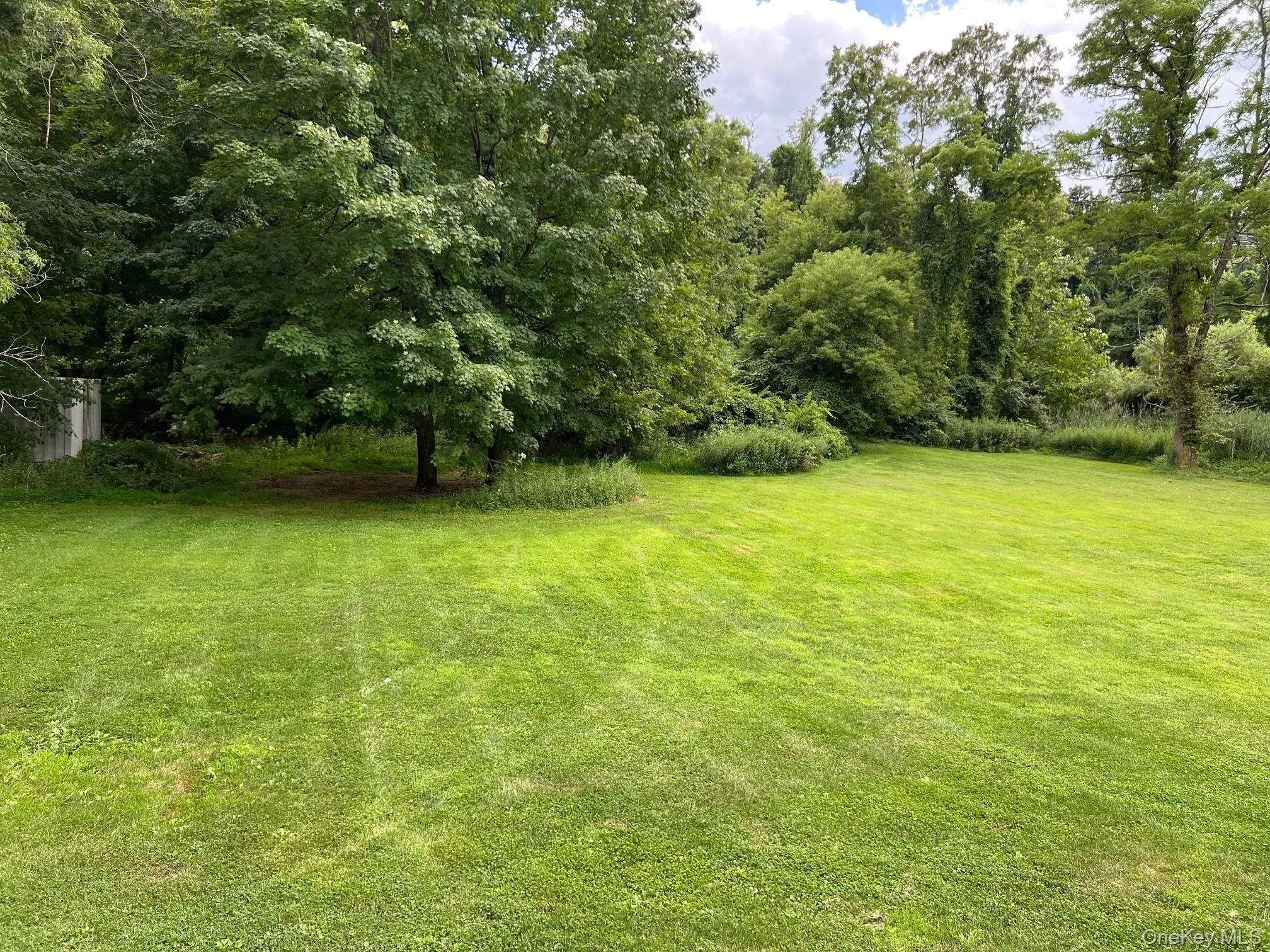 View of green lawn View of green lawn