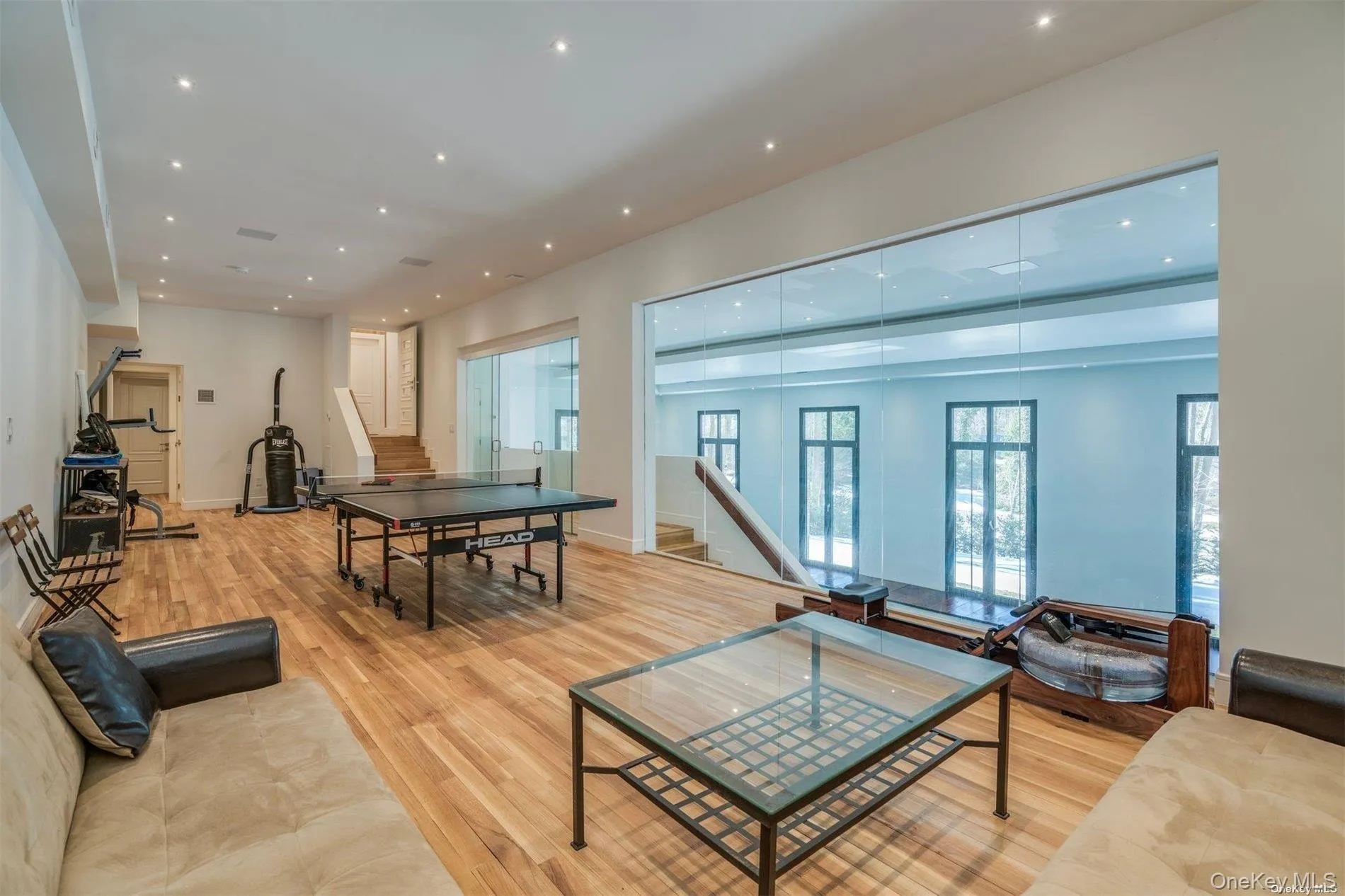 Home Gym/ Game Room Home Gym/ Game Room