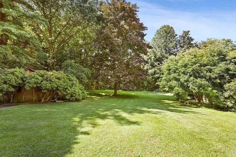 View of green lawn View of green lawn