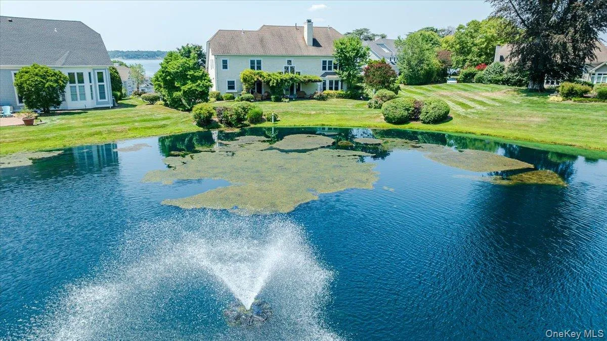 This is Your Backyard This is Your Backyard