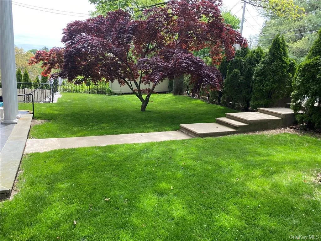 View front of yard View front of yard