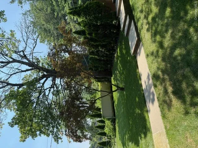 Another View of front yard Another View of front yard