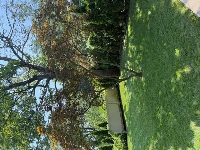 View of side yard View of side yard