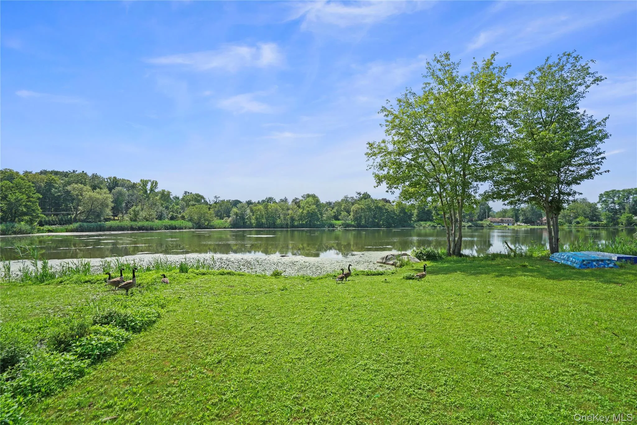 Located just minutes from Lake Baldwin Located just minutes from Lake Baldwin