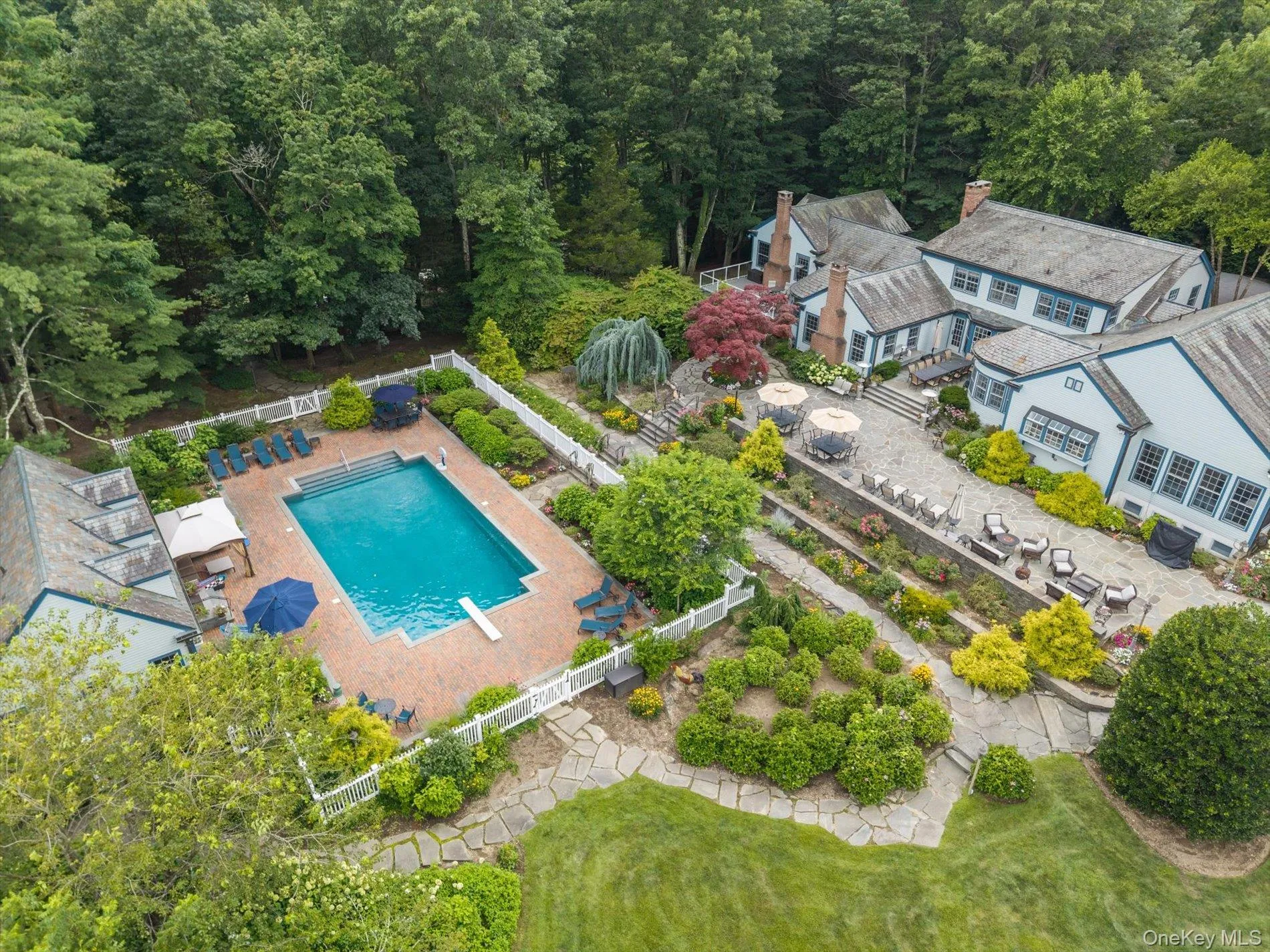 Drone / aerial view of a pool and a forest Drone / aerial view of a pool and a forest