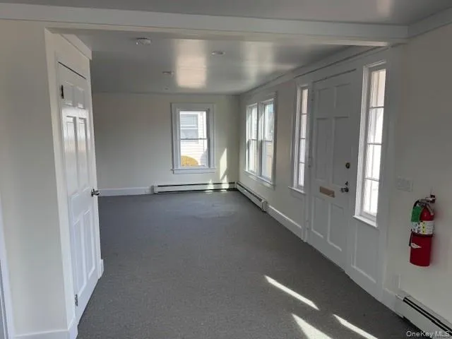 Foyer with healthy amount of natural light, dark colored carpet, and baseboard heating Foyer with healthy amount of natural light, dark colored carpet, and baseboard heating