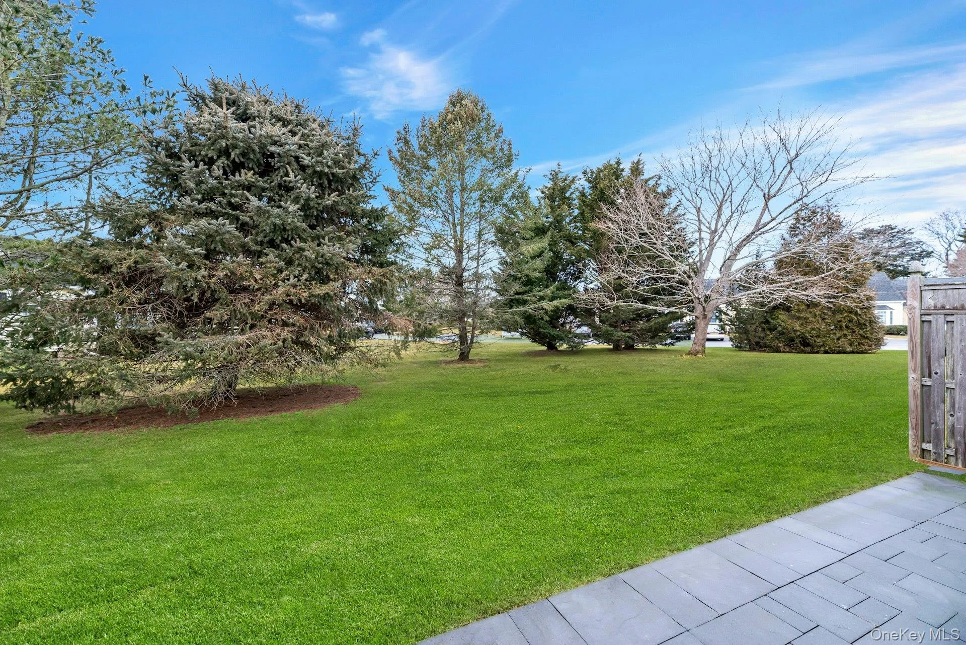 View of green lawn View of green lawn