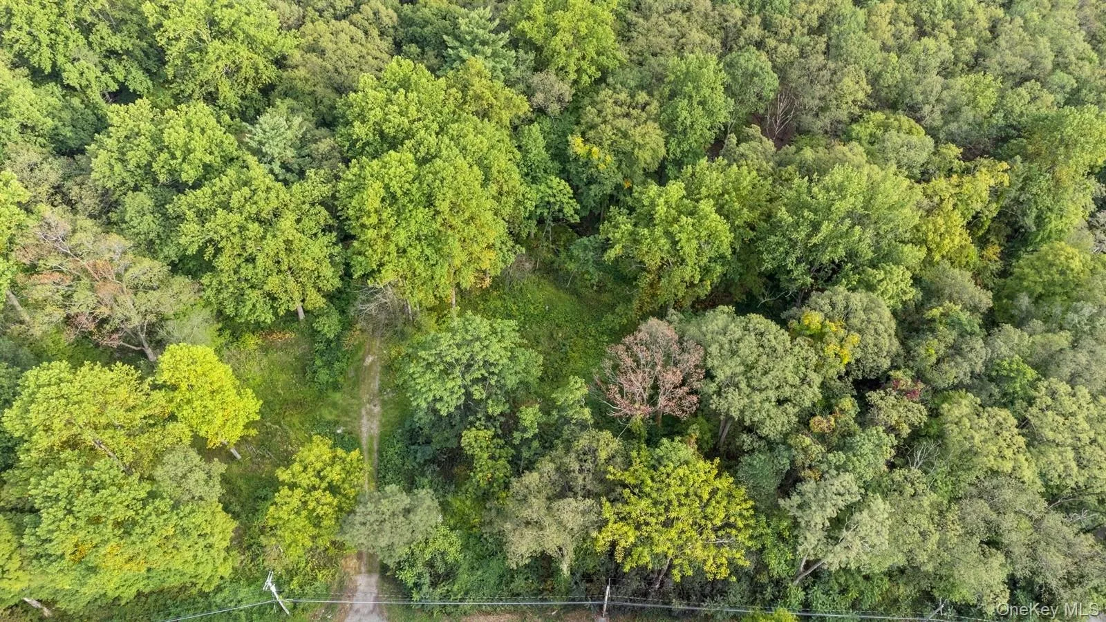Aerial view of a heavily wooded area Aerial view of a heavily wooded area