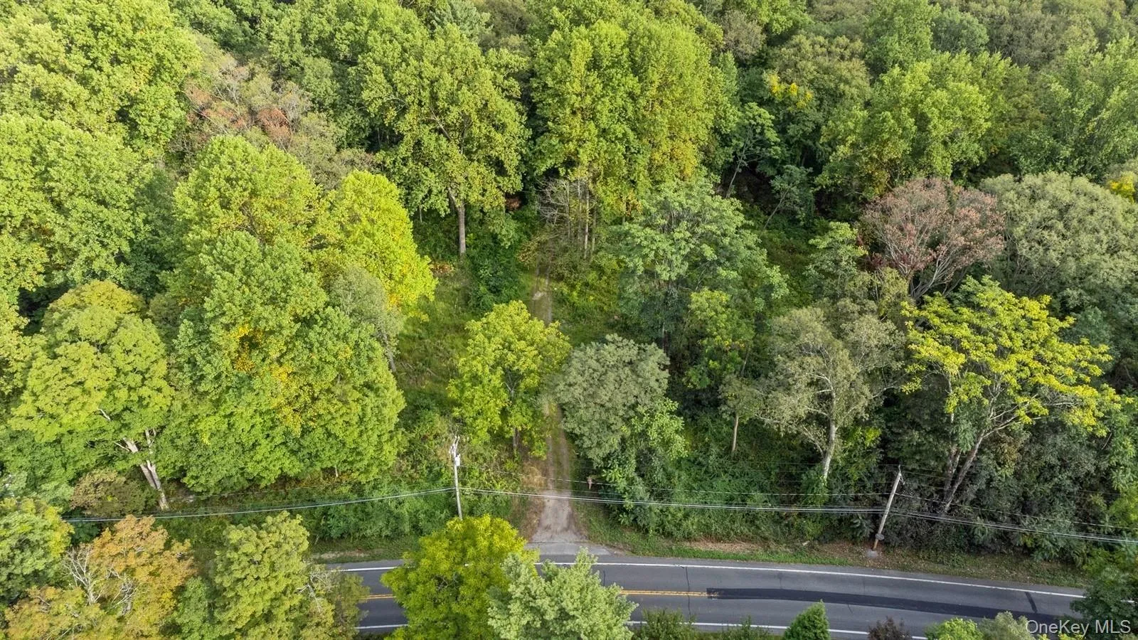 Drone / aerial view of a heavily wooded area Drone / aerial view of a heavily wooded area