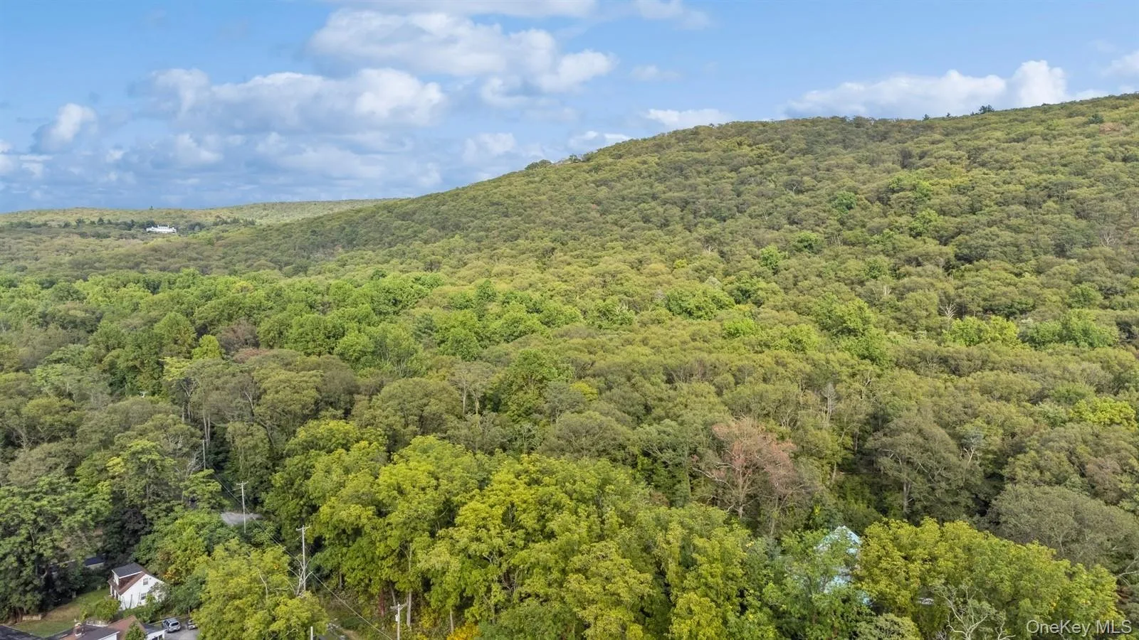 View of mountain background featuring a heavily wooded area View of mountain background featuring a heavily wooded area