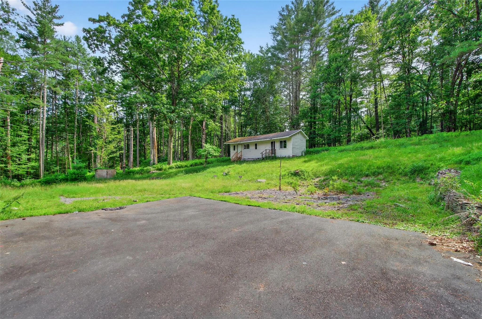 View of yard featuring a view of trees View of yard featuring a view of trees