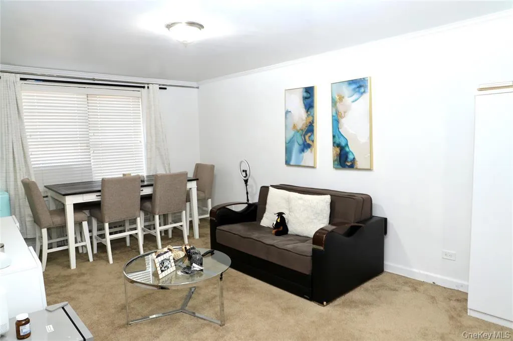 Living room with carpet flooring and crown molding Living room with carpet flooring and crown molding