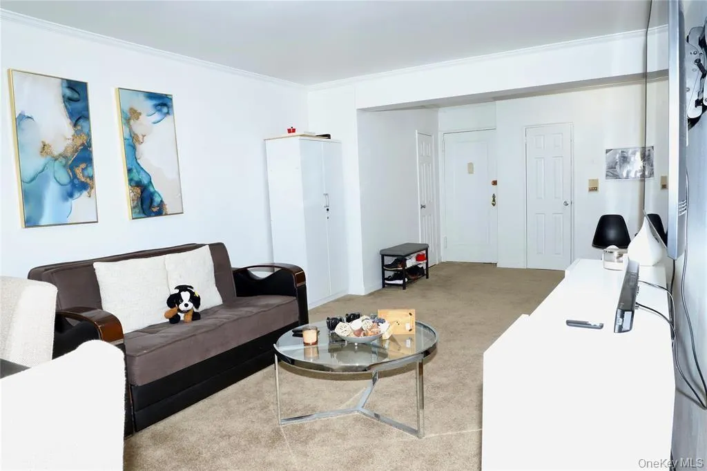 Living room with carpet flooring and crown molding Living room with carpet flooring and crown molding