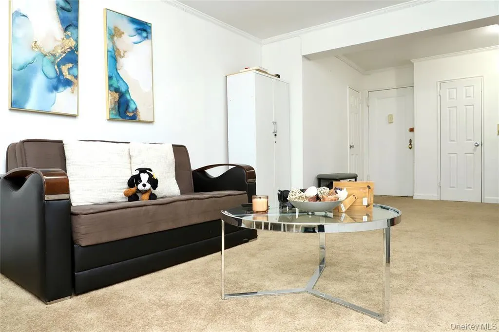 Living area featuring crown molding and carpet floors Living area featuring crown molding and carpet floors