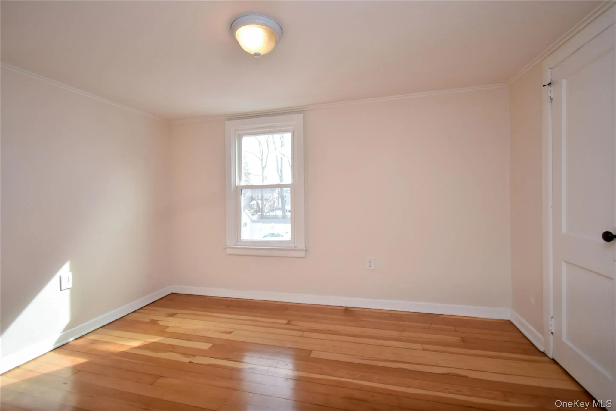 Empty room featuring light wood finished floors and crown molding Empty room featuring light wood finished floors and crown molding