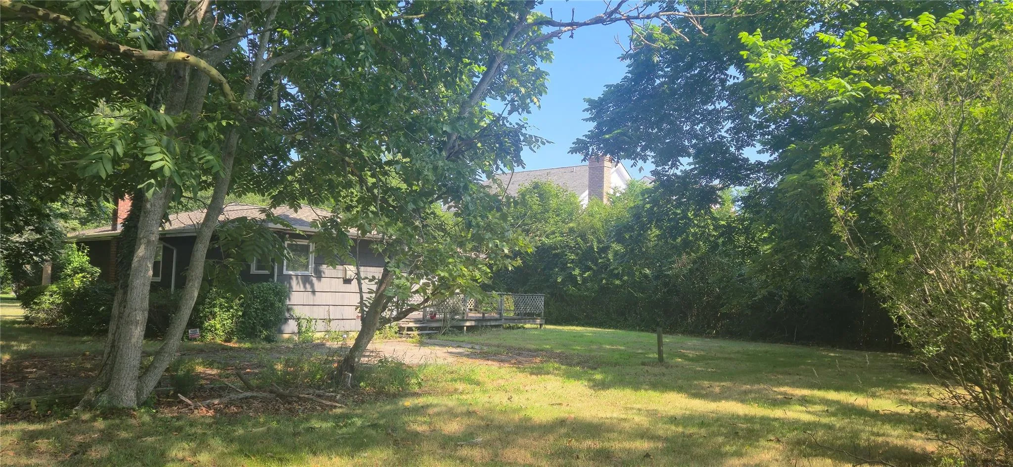 View of grassy yard