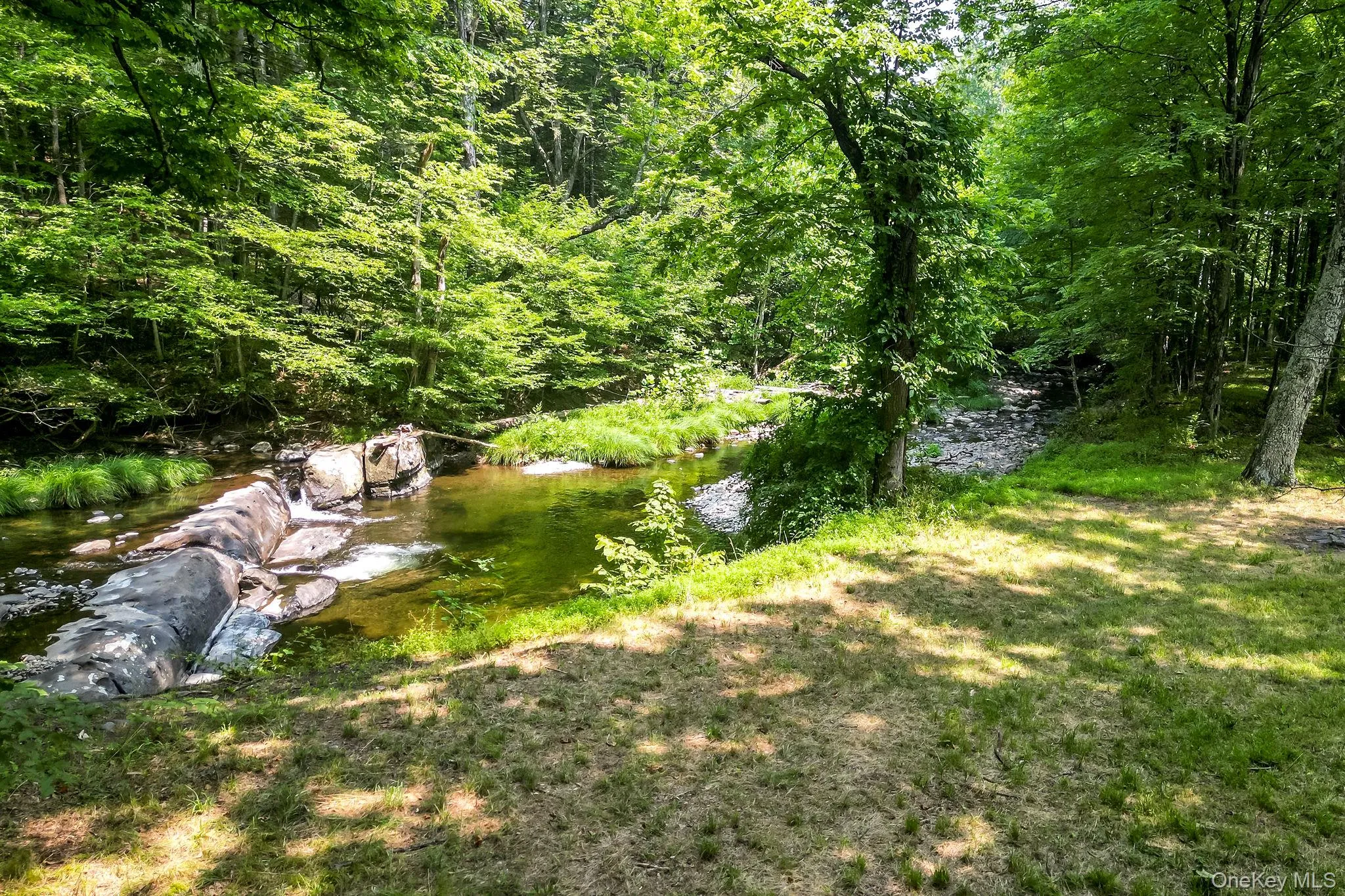 View of yard with a forest view and a water view View of yard with a forest view and a water view
