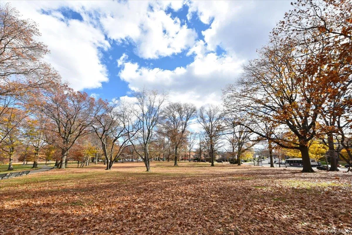 View of community with a lawn View of community with a lawn
