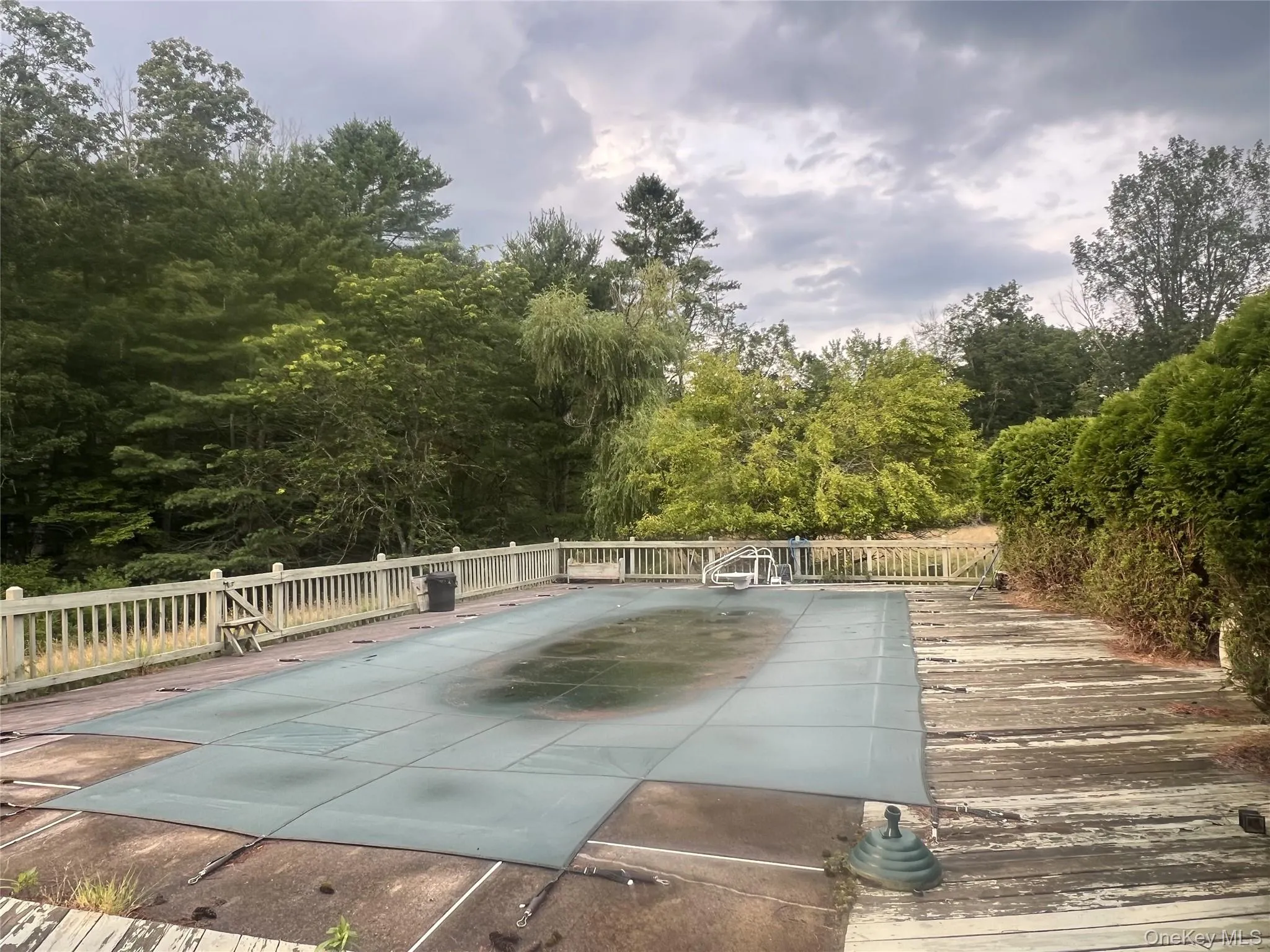 View of swimming pool featuring a patio area and a wooded view View of swimming pool featuring a patio area and a wooded view