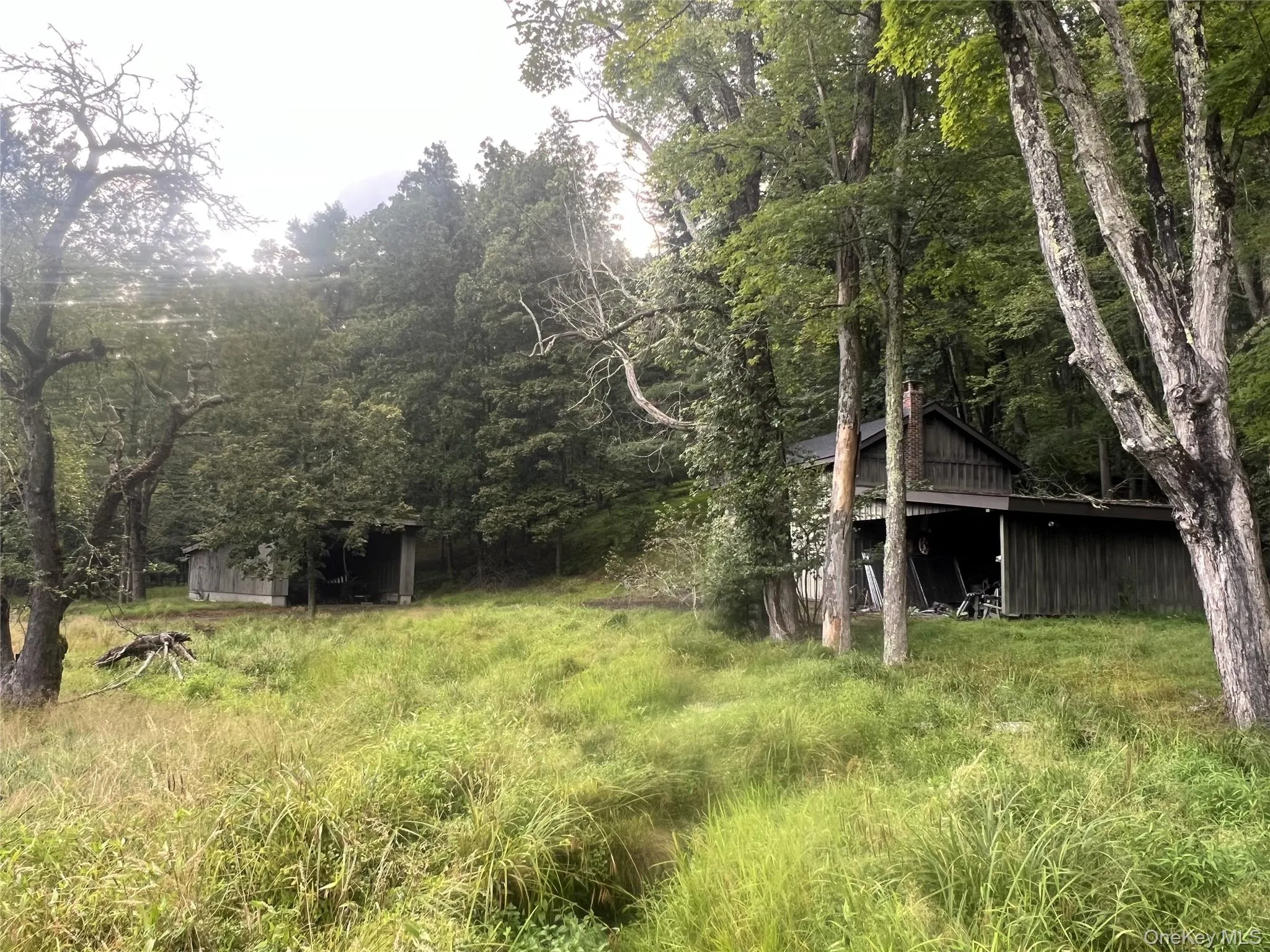 View of yard featuring an outbuilding and a forest view View of yard featuring an outbuilding and a forest view