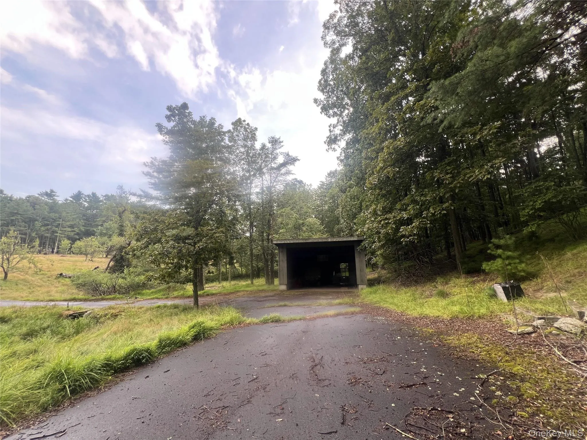 View of asphalt driveway featuring a view of trees View of asphalt driveway featuring a view of trees