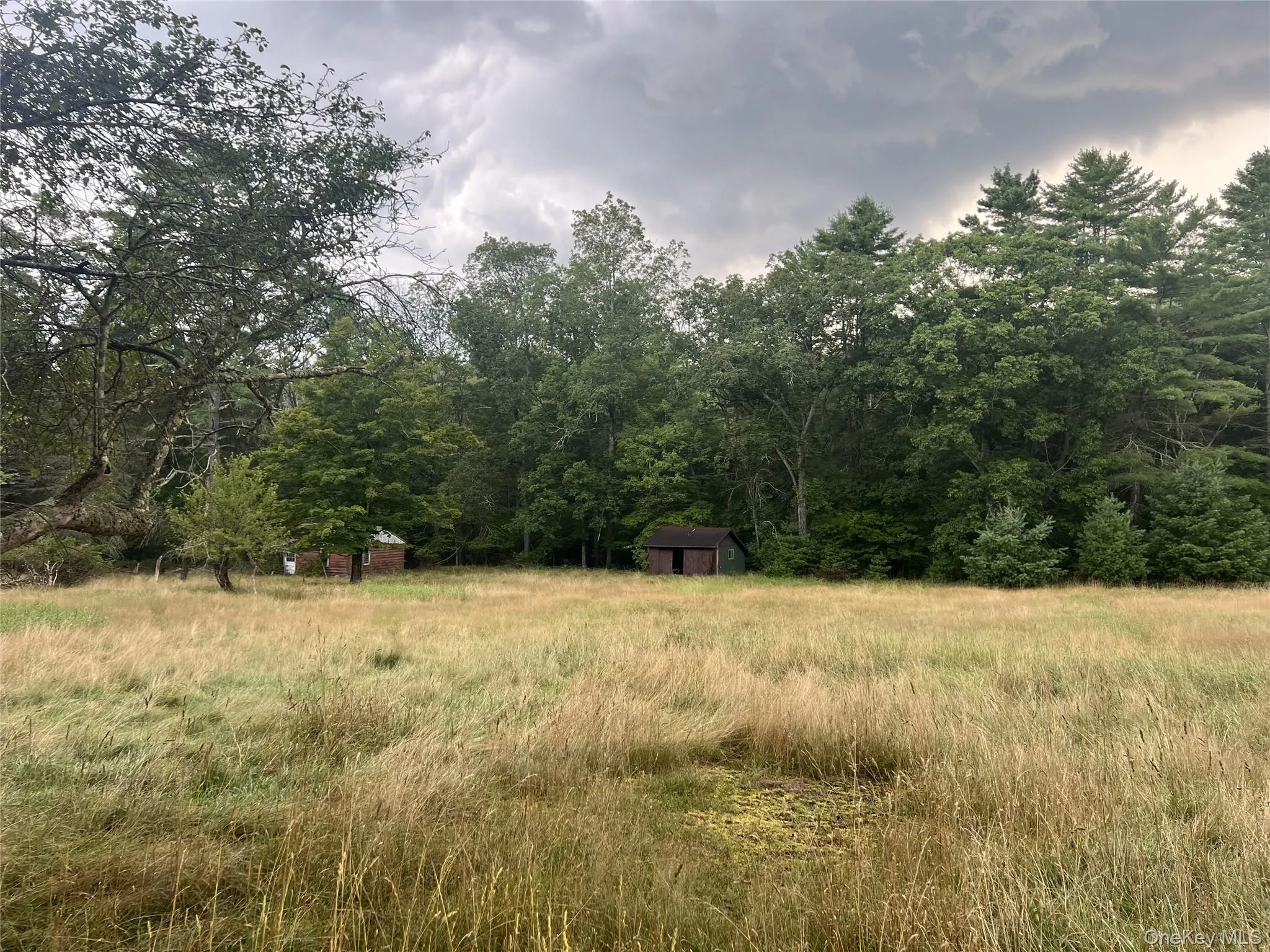 View of yard featuring a storage unit, a forest view, and a view of rural / pastoral area View of yard featuring a storage unit, a forest view, and a view of rural / pastoral area