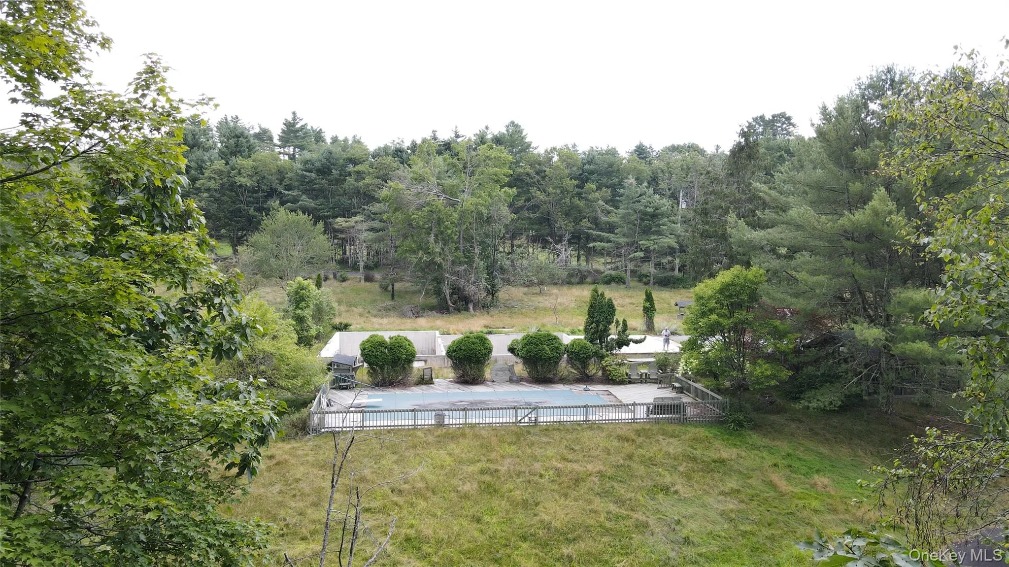 View of yard with a forest view View of yard with a forest view