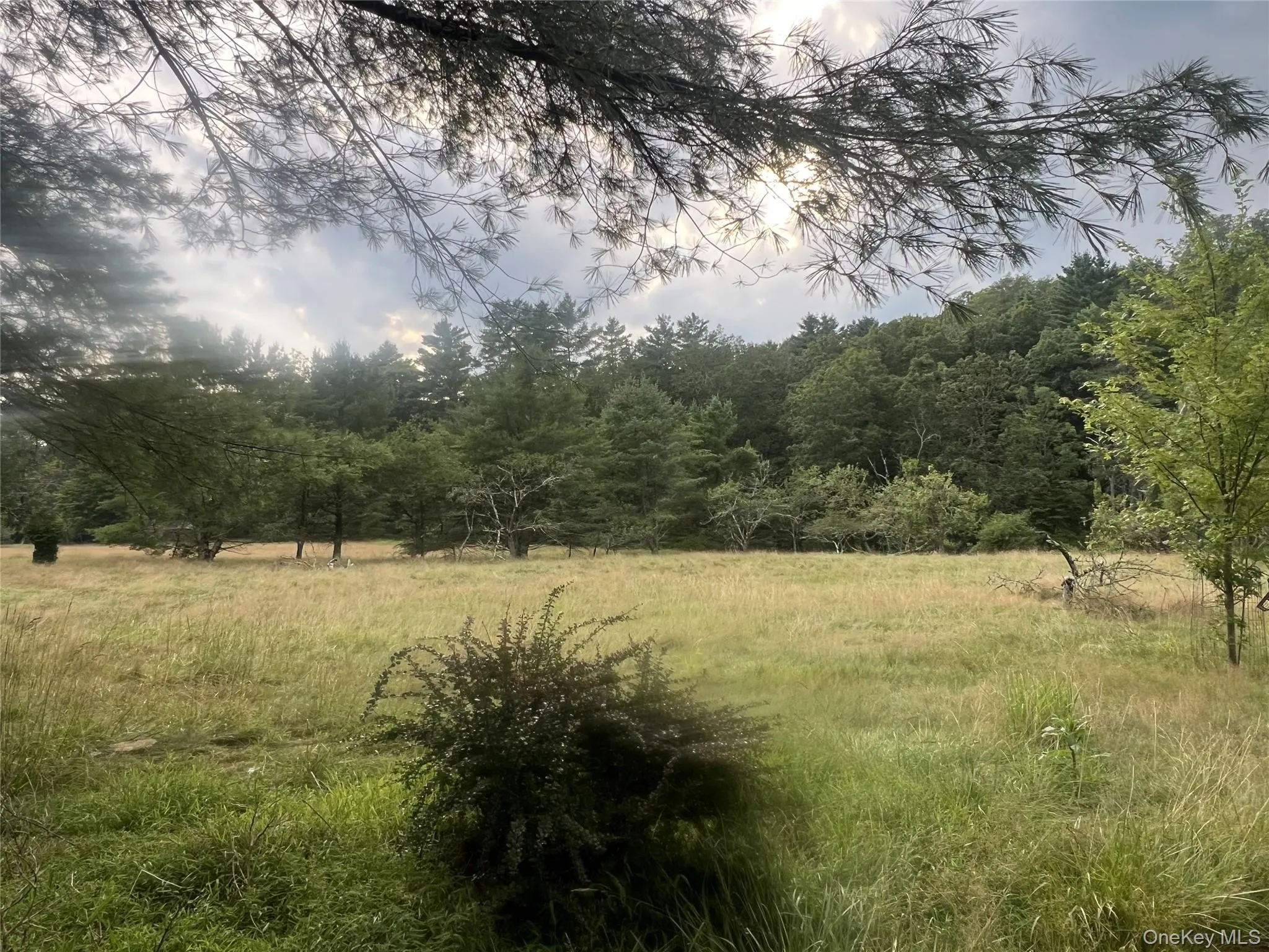 View of woods with a rural view View of woods with a rural view