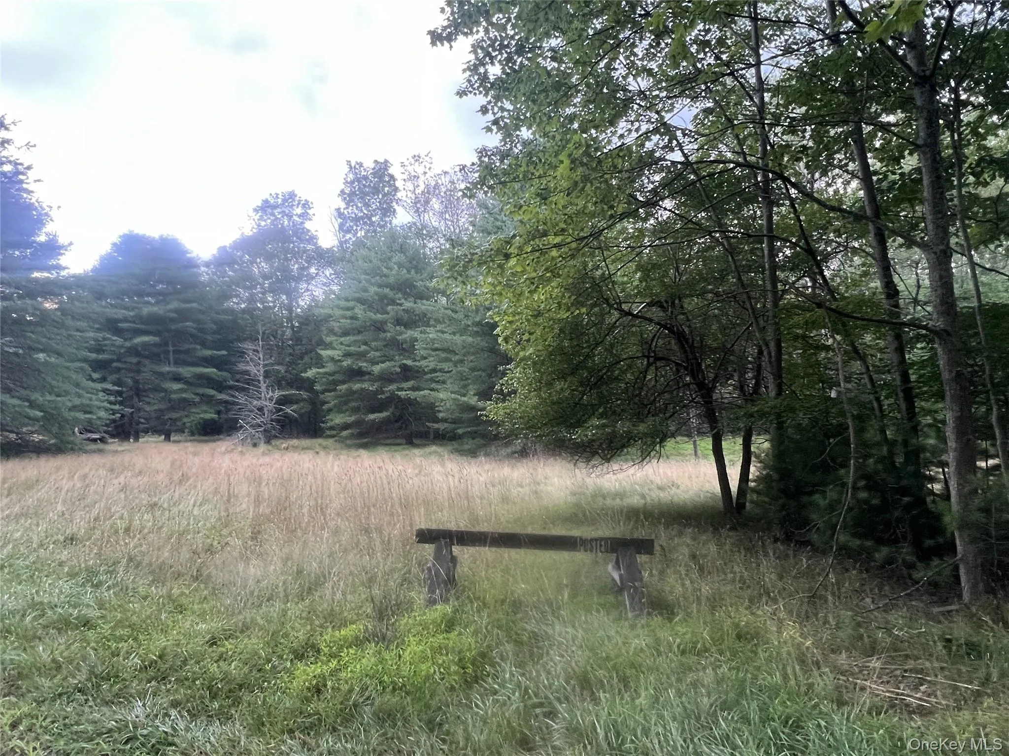View of wooded area View of wooded area