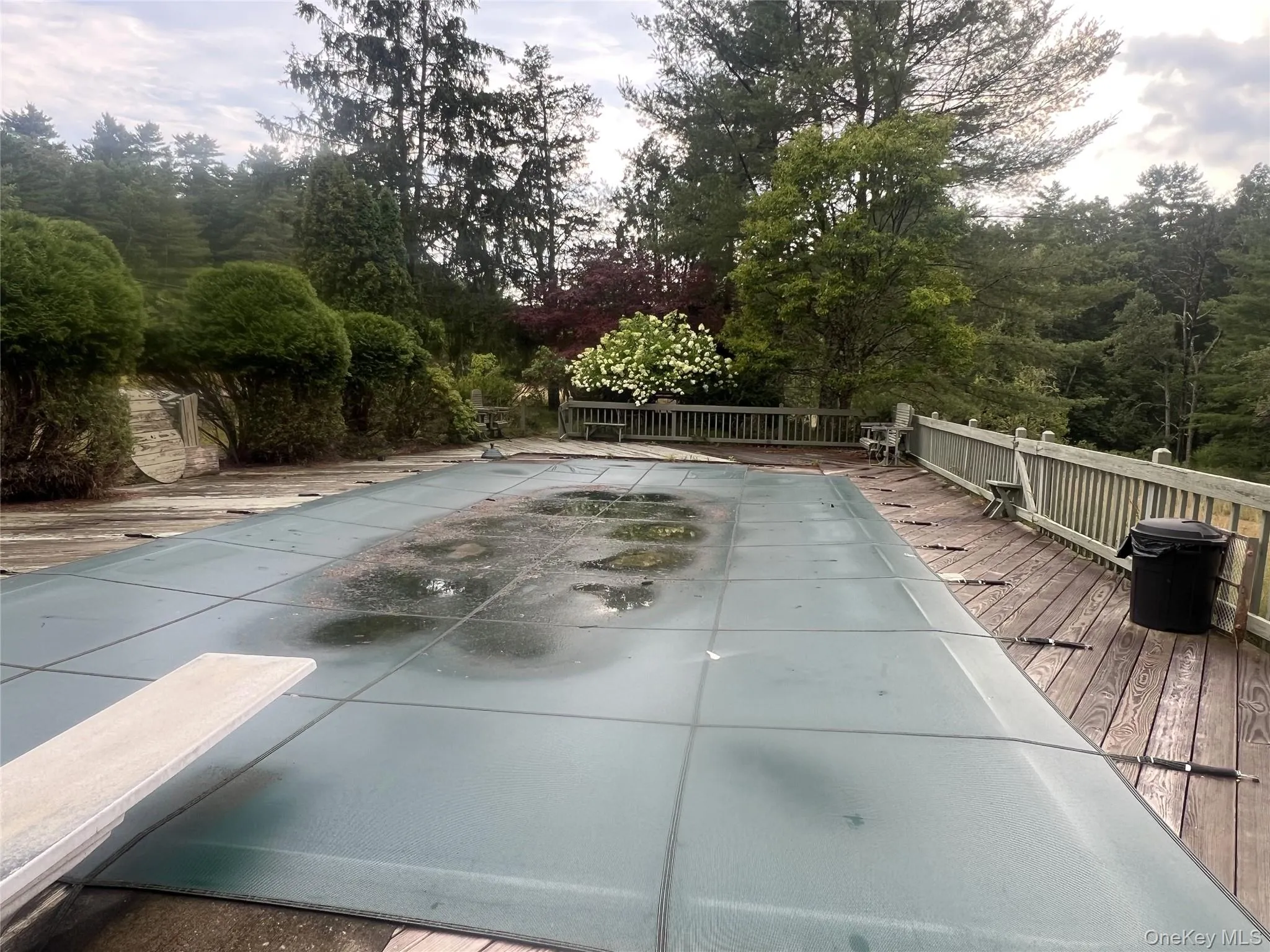View of swimming pool with a deck and a forest view View of swimming pool with a deck and a forest view
