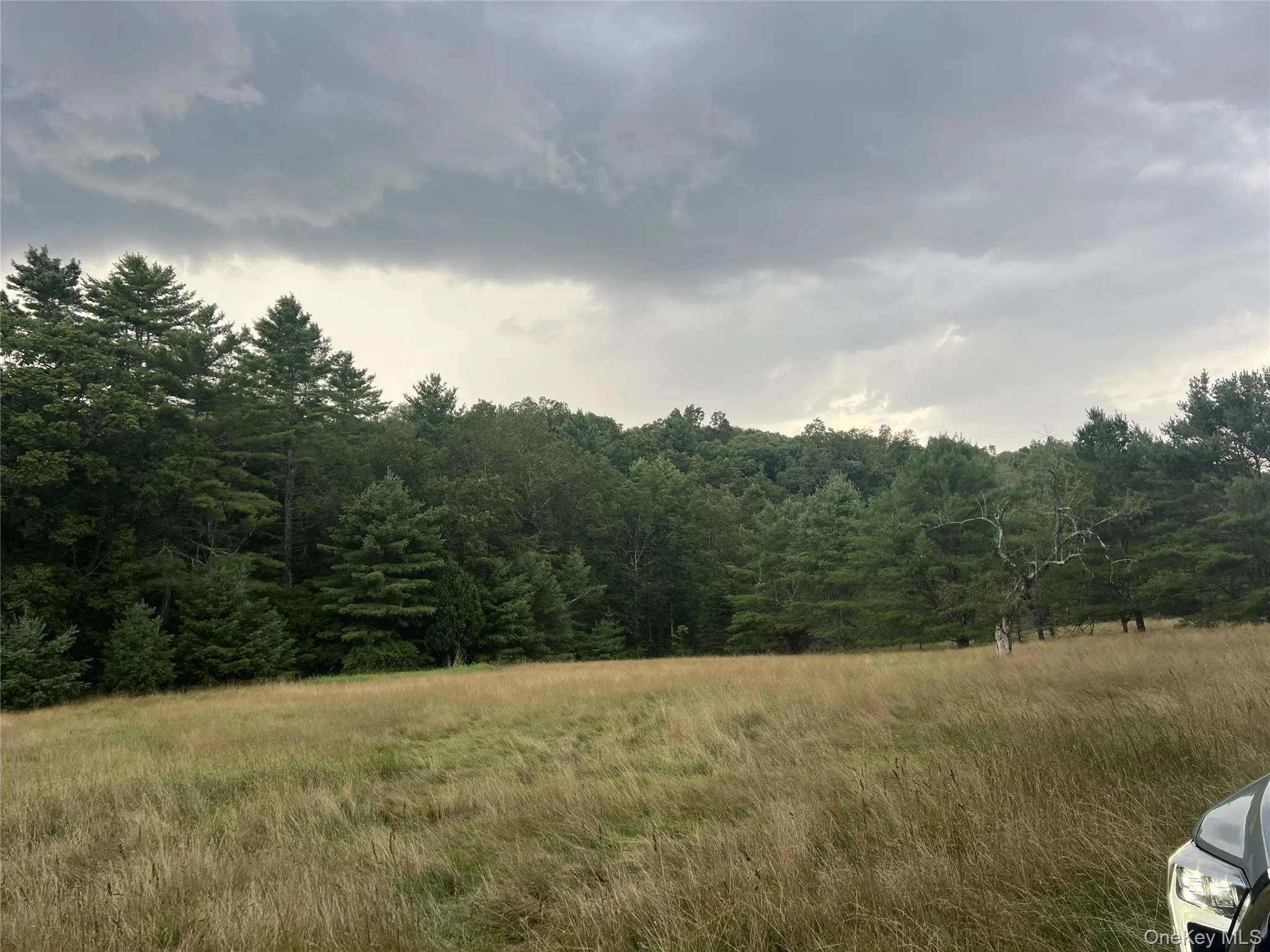 View of wooded area View of wooded area