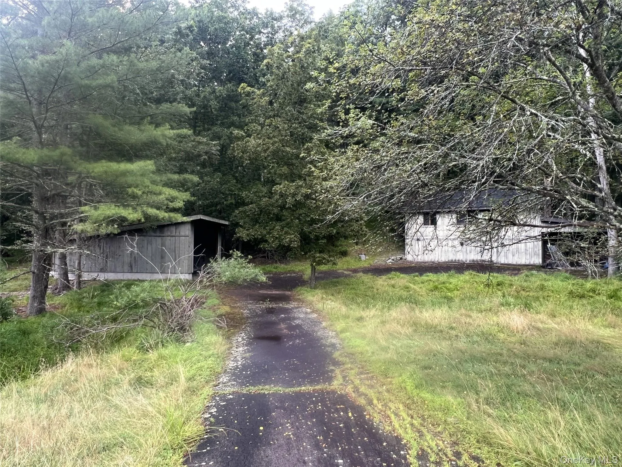 View of yard featuring a shed View of yard featuring a shed