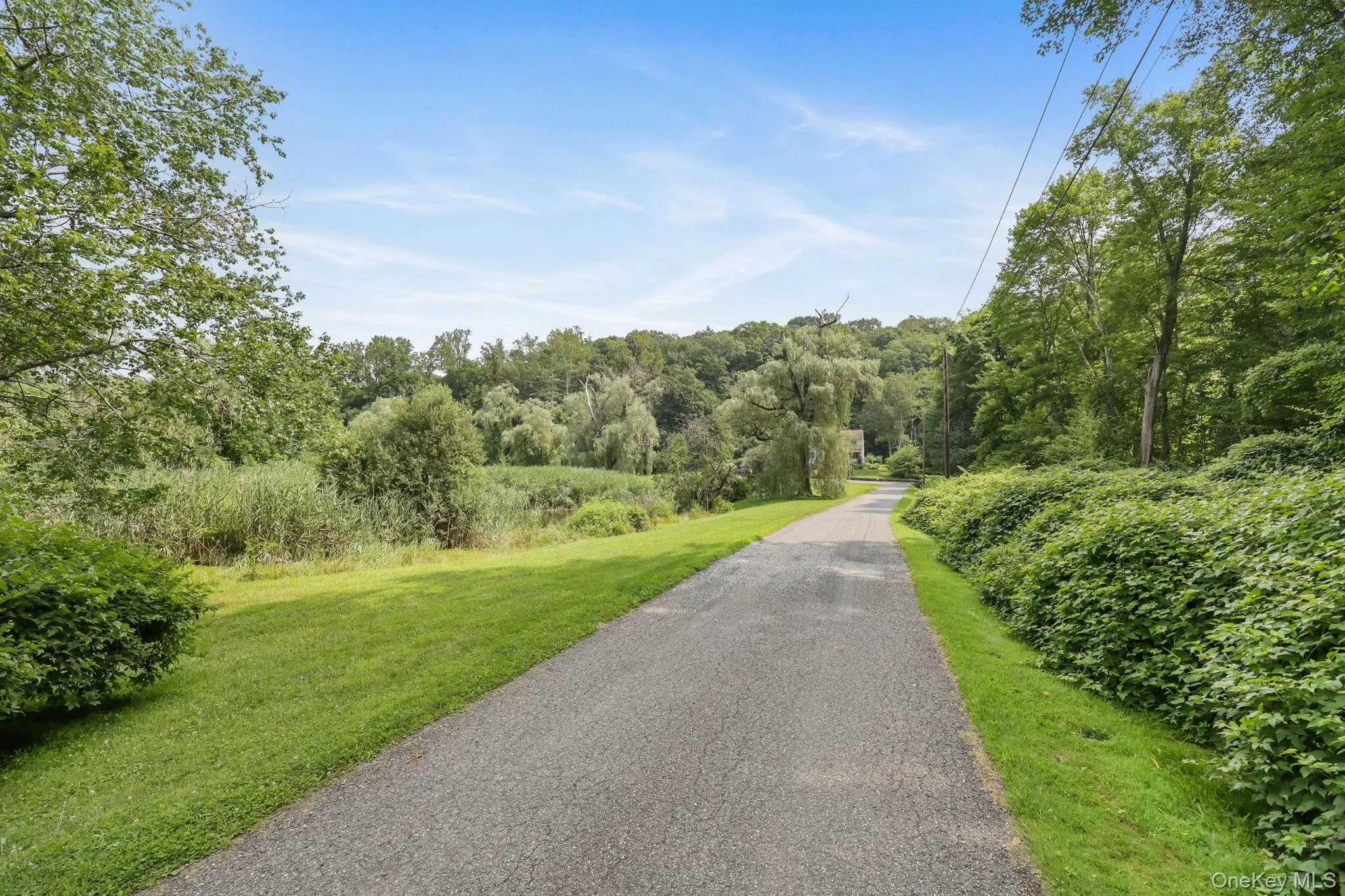 View of asphalt road featuring a wooded view View of asphalt road featuring a wooded view
