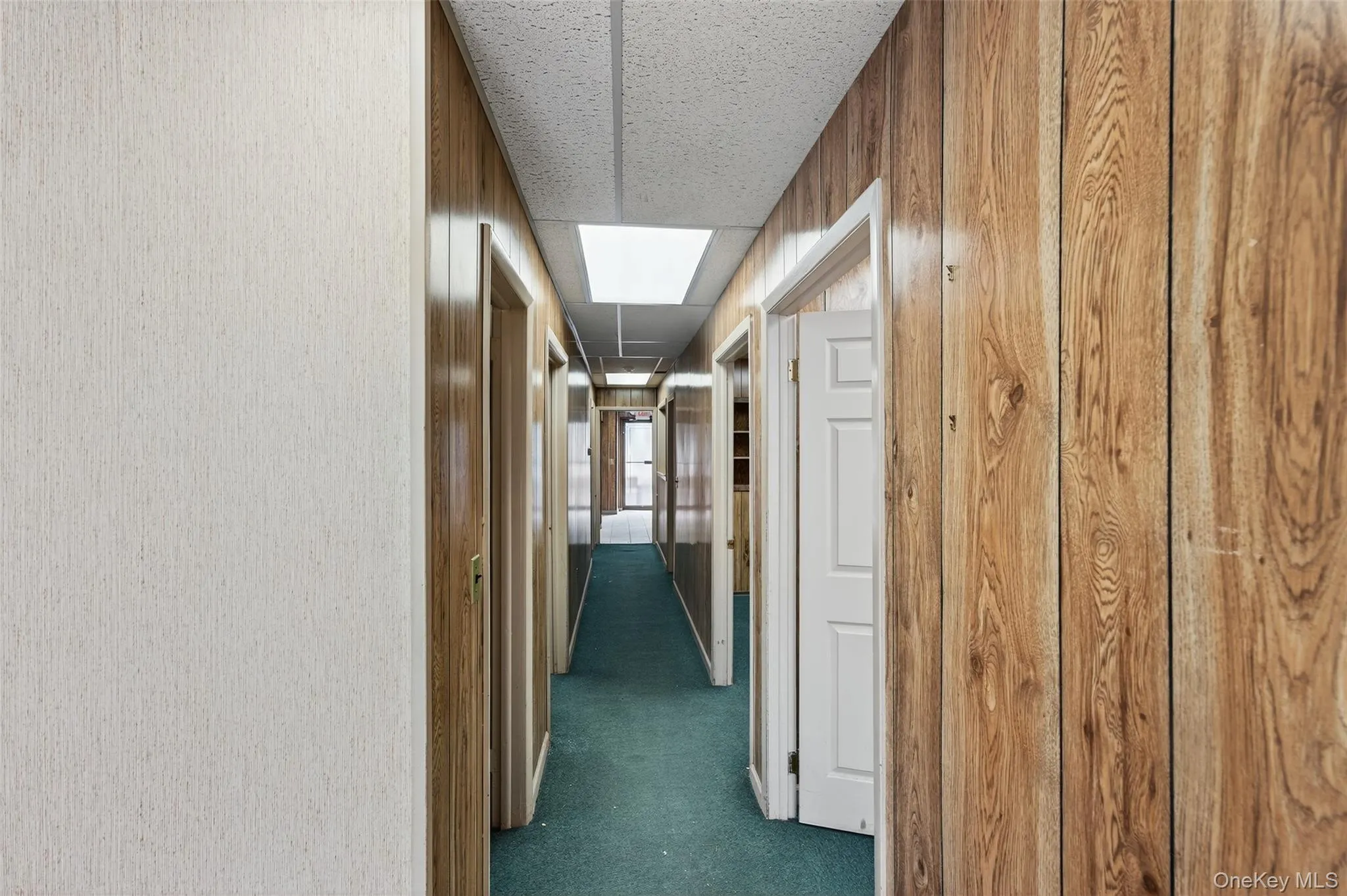 Hall with dark carpet and a skylight Hall with dark carpet and a skylight