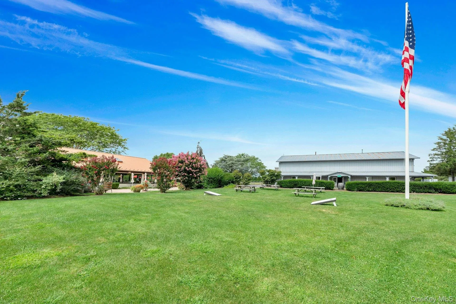 Expansive Property Expansive Property