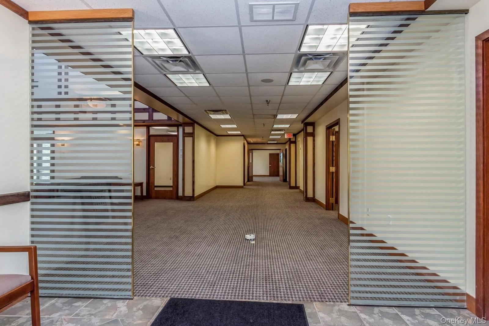Hallway featuring a paneled ceiling and carpet flooring Hallway featuring a paneled ceiling and carpet flooring