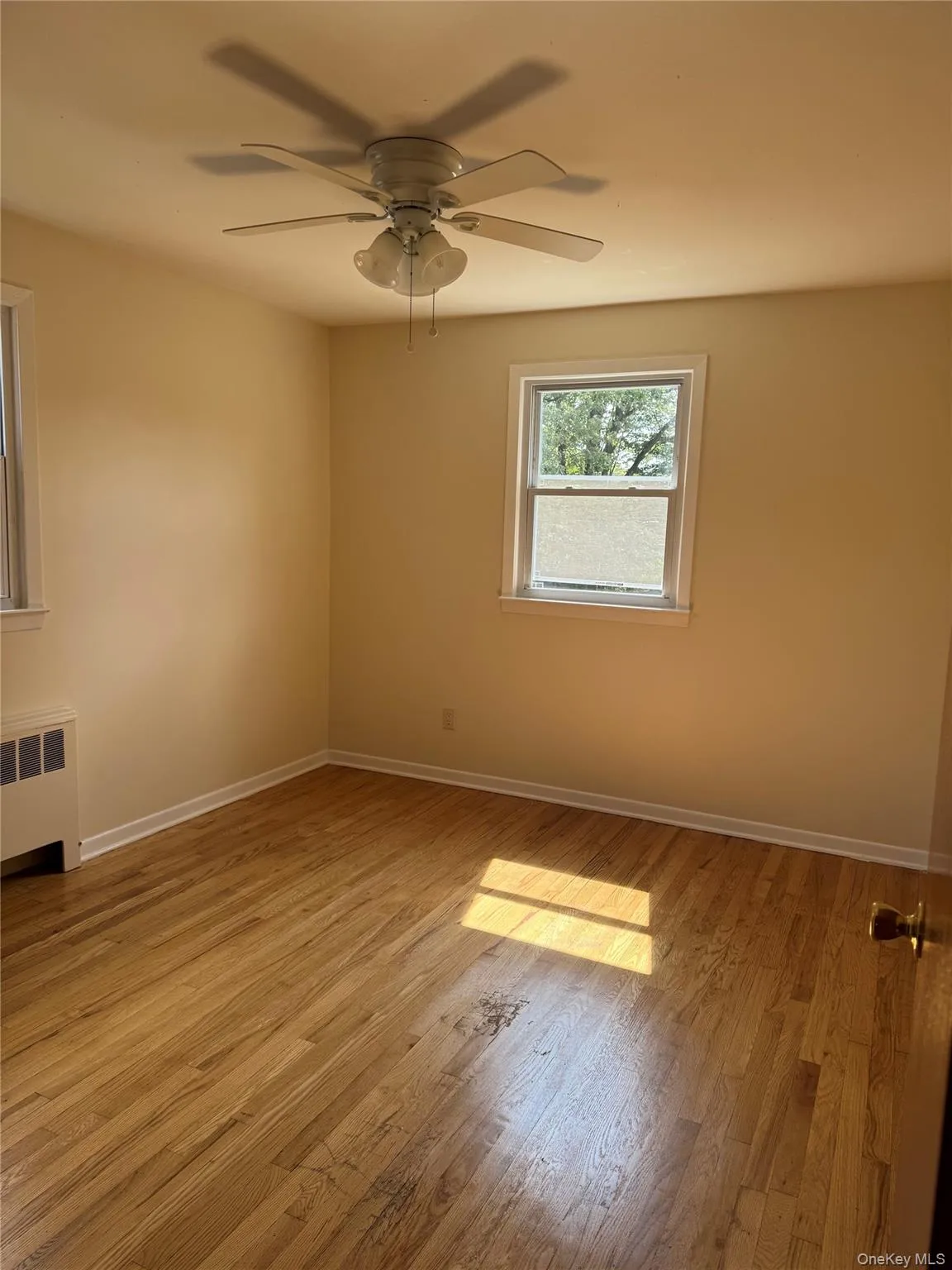 Spare room with radiator, light wood finished floors, and ceiling fan Spare room with radiator, light wood finished floors, and ceiling fan